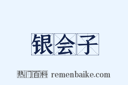 银会子是什么意思的图片